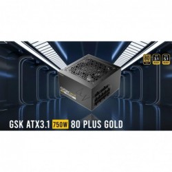 Antec GSK750 80  Gold Fully Modular ATX 3.1, PCI-E 5.1...