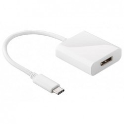 Astrotek USB3.1 Type-C USB-C to DP DisplayPort Converter...