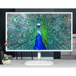 AOC 31.5' IPS Panel 4ms 2K QHD 2560x1440, HDMI, DP, 75Hz,...
