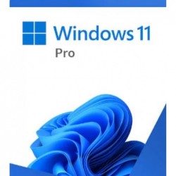 Microsoft Windows 11 Professional 64-bit USB Flash Drive...
