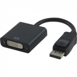 Astrotek DisplayPort DP to DVI Adapter Converter Cable...