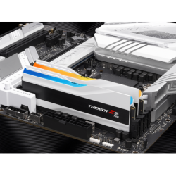 G.SKILL F5-6000J3636F32GX2-TZ5RW 64GB (2 x 32GB)/ DDR5...