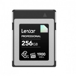 Lexar CFexpress Type B Diamond  Series 256GB – CFexpress...