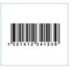 System Serial Number