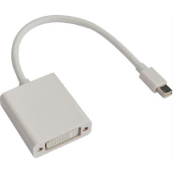 Astrotek Mini DisplayPort DP to DVI Cable 20cm - 20 pins Male to 24 5 pins Female Nickle RoHS