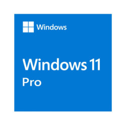 Microsoft Windows 11 Professional OEM 64-bit English 1 Pack DVD. Key NEW