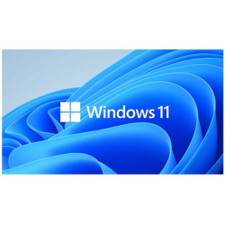 Microsoft Windows 11 Professional for Workstation 64 BIT - By Order