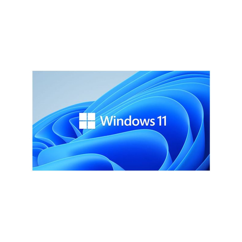 Microsoft Windows 11 Professional for Workstation 64 BIT - By Order