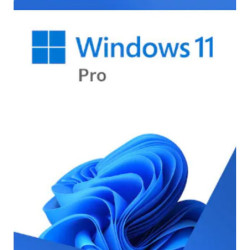 Microsoft Windows 11 Professional 64-bit USB Flash Drive Retail Pack Full Package Product