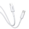 Pisen Mr White Lightning to USB-C PD Fast Charge Cable (1M) White - Support Charge 3A, Stretch-Resistant, Reinforced,Durable,
