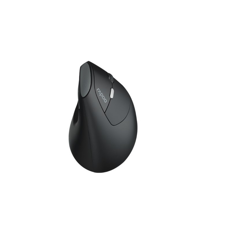 RAPOO EV250 Ergonomic Vertical Wireless Mouse 6 Buttons 800/1200/1600 DPI Optical Silent Click Mice - Black (Renamed from MV2
