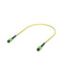 Ubiquiti OS2 MPO-12 APC Fiber Patch Cable, 0.5 m, Single-pack, Indoor OS2 Single-mode,MPO-12 Type B APC Connectors, For 100G 