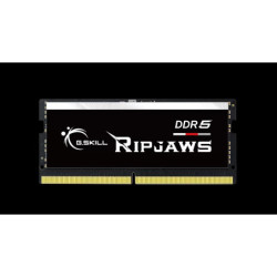 G.SKILL F5-5600S4645A48GX1-RS 48GB (1 x 48GB)/ DDR5 5600 MT/s / Timings 46-45-45-89/ Voltage 1.1V