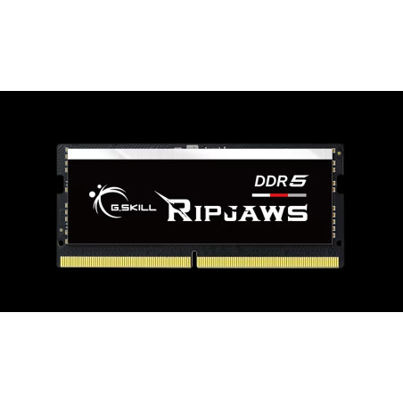 G.SKILL F5-5600S4645A48GX1-RS 48GB (1 x 48GB)/ DDR5 5600 MT/s / Timings 46-45-45-89/ Voltage 1.1V
