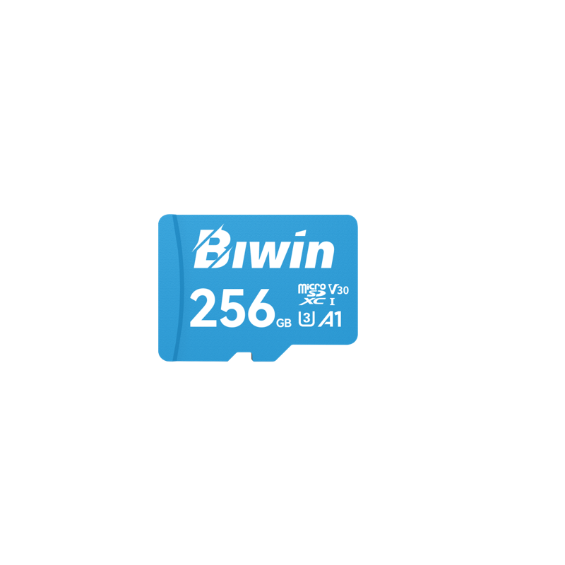 BIWIN MS100-256G microSD3.0 Read & Write Speed up to 100MB/s & 50MB/s BMMS100256G-RGX