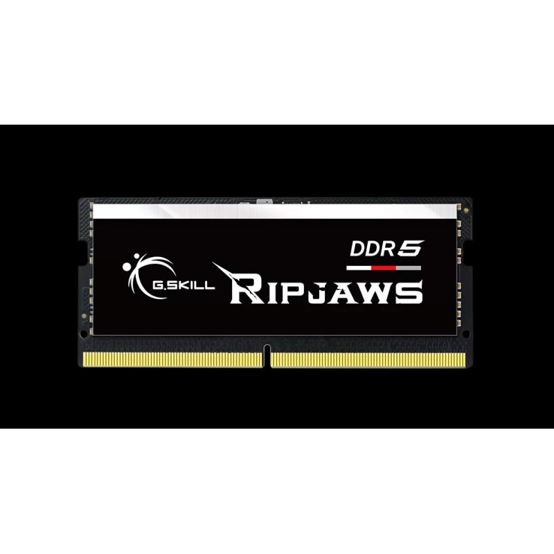 G.SKILL F5-5600S4040A32GX1-RS 32GB (1 x 32GB)/ DDR5 5600 MT/s / Timings 40-40-40-89/ Voltage 1.1V/XMP 3.0