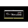 G.SKILL F5-5600S4040A32GX1-RS 32GB (1 x 32GB)/ DDR5 5600 MT/s / Timings 40-40-40-89/ Voltage 1.1V/XMP 3.0