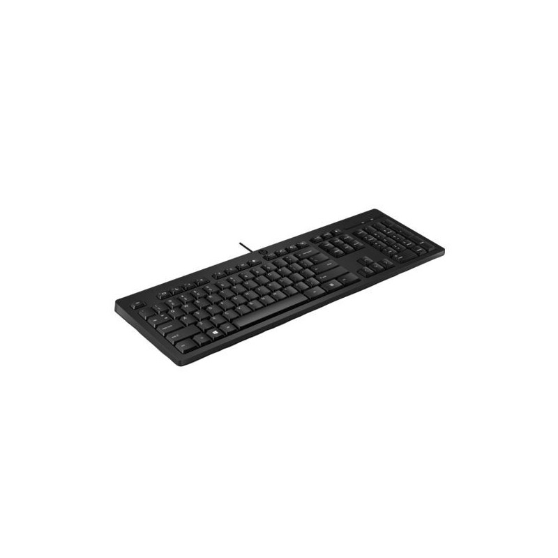 HP 125 Wired Keyboard - Compatible with Windows 10, Desktop PC, Laptop, Notebook USB Plug and Play Connectivity, Easy Cleanin
