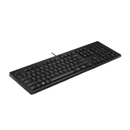 HP 125 Wired Keyboard - Compatible with Windows 10, Desktop PC, Laptop, Notebook USB Plug and Play Connectivity, Easy Cleanin
