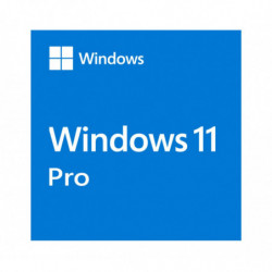 Microsoft Windows 11 Professional OEM 64-bit English 1 Pack DVD. Key NEW