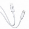 Pisen Mr White Lightning to USB-C PD Fast Charge Cable (1M) White - Support Charge 3A, Stretch-Resistant, Reinforced,Durable,