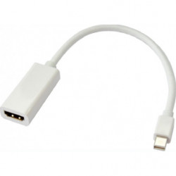 Astrotek Mini DisplayPort DP to HDMI Cable 15cm - 20 pins Male to Female 1080P Adapter Converter for Macbook Pro Air iMac Mic