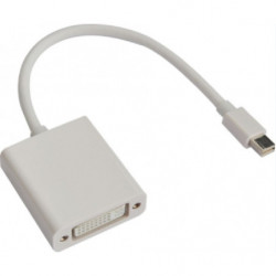 Astrotek Mini DisplayPort DP to DVI Cable 20cm - 20 pins Male to 24 5 pins Female Nickle RoHS