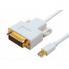 Astrotek Mini DisplayPort DP to DVI Cable 2m - 20 pins Male to 24 1 pins Male 32AWG Gold Plated