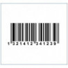 System Serial Number