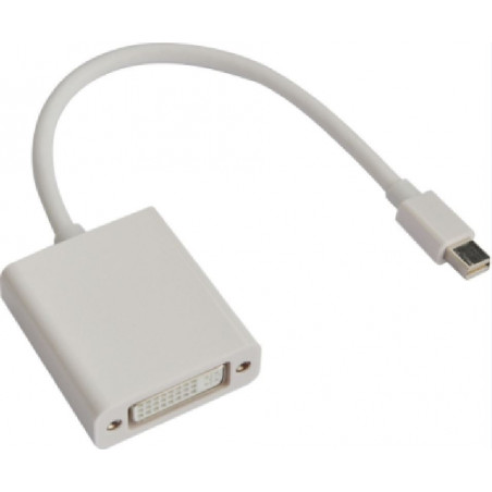 Astrotek Mini DisplayPort DP to DVI Cable 20cm - 20 pins Male to 24 5 pins Female Nickle RoHS