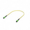 Ubiquiti OS2 MPO-12 APC Fiber Patch Cable, 0.5 m, Single-pack, Indoor OS2 Single-mode,MPO-12 Type B APC Connectors, For 100G 